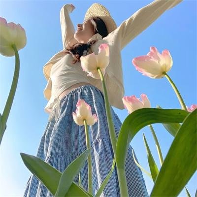 探案新窍门 第五季